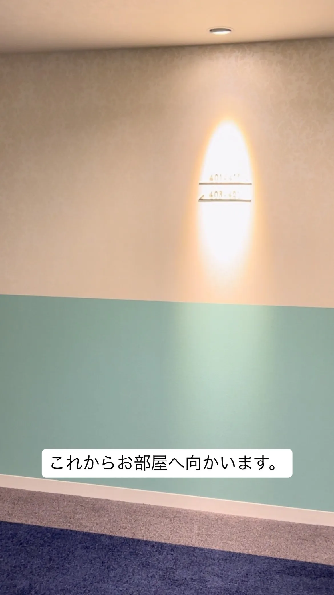 TikTokでみつけて