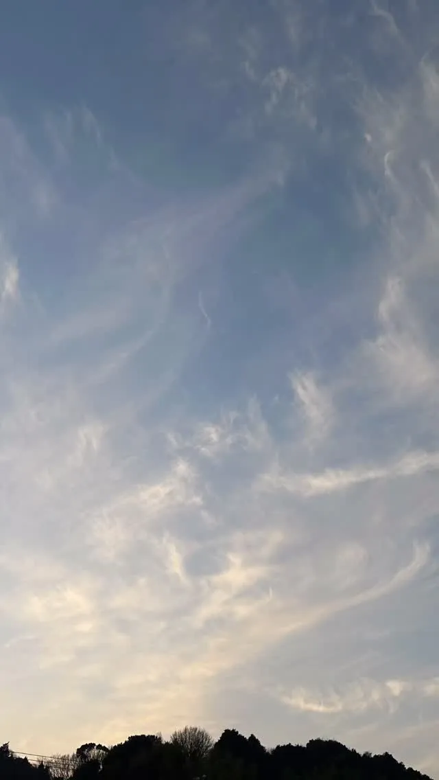 少し温かくなったな！と思ったのに